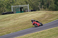 Middle Group Red Bikes